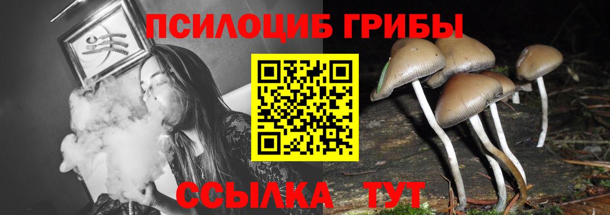 Псилоцибиновые грибы Magic Shrooms Протвино